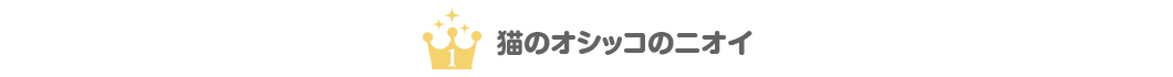 １位　猫のオシッコのニオイ