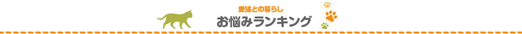 愛猫とのくらしお悩みランキング