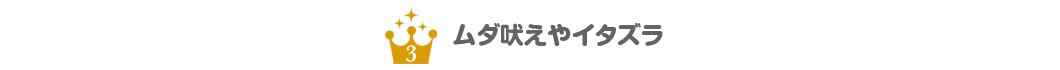 ３位　ムダ吠えやイタズラ