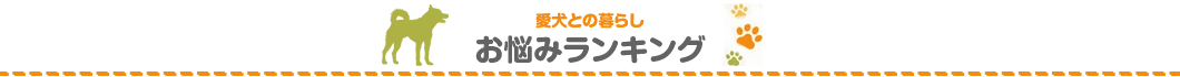 愛犬とのくらしお悩みランキング